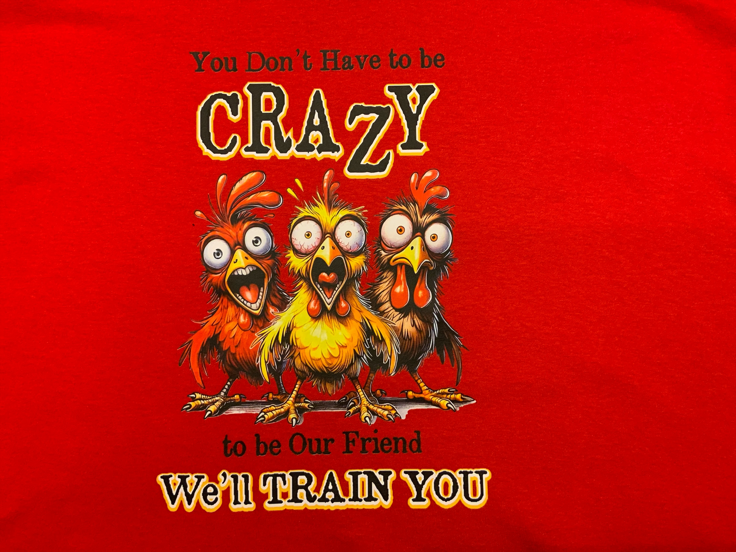 Funny Crazy Chicken Friends Long Sleeve Shirt – You Don’t Have to Be Crazy We’ll Train You – Hilarious Farm Animal Shirt for Friends & Coworkers, Gift for Chicken Lovers